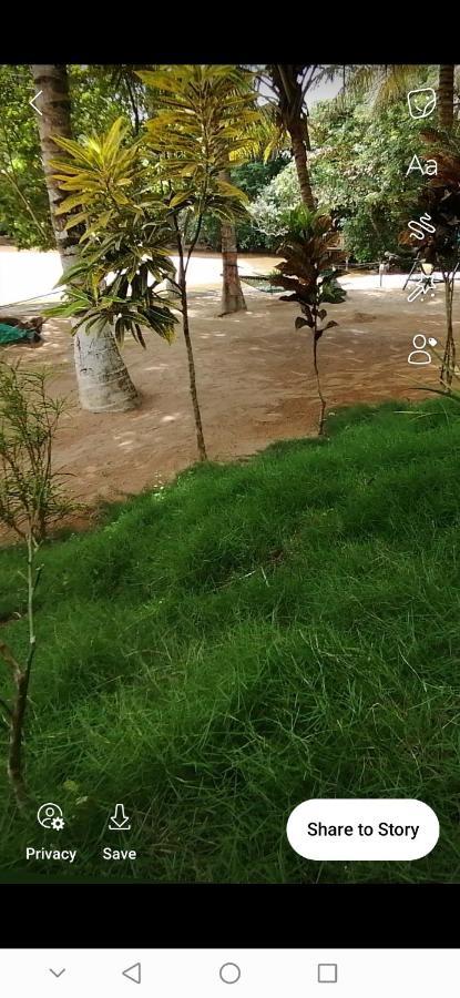 Scorpion Hill Lodge Busua Экстерьер фото