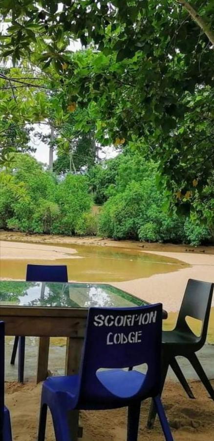 Scorpion Hill Lodge Busua Экстерьер фото