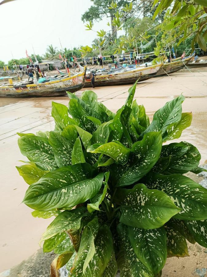 Scorpion Hill Lodge Busua Экстерьер фото