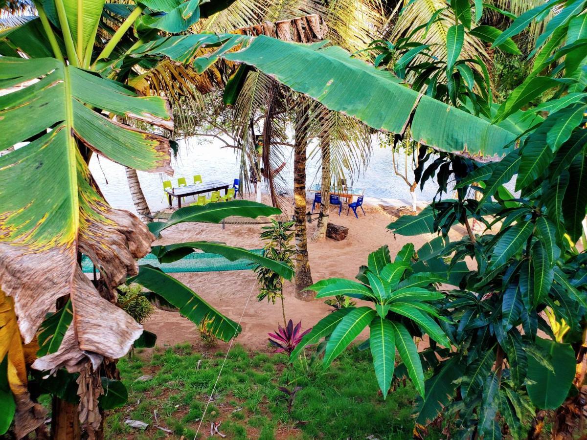 Scorpion Hill Lodge Busua Экстерьер фото